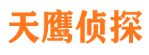 新津侦探公司